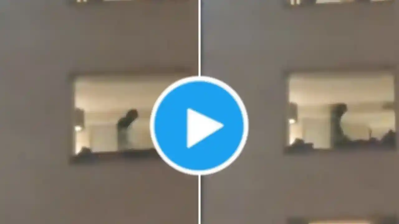 jaipur couple viral video